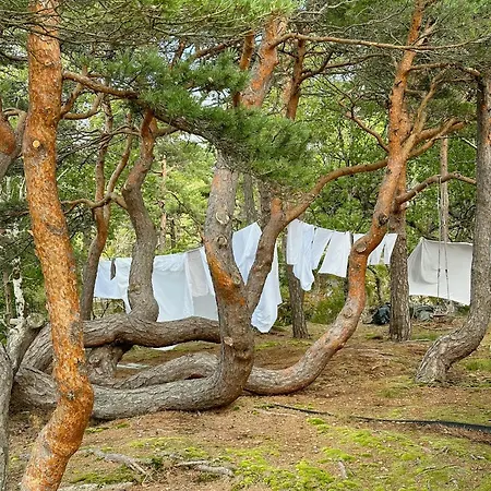 בית נופש Modern With View Over Oslofjorden