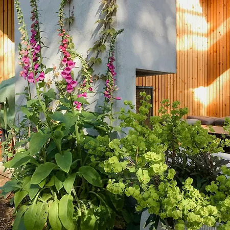 Modern With View Over Oslofjorden Gressvik