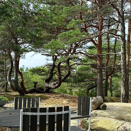 בית נופש Modern With View Over Oslofjorden Gressvik